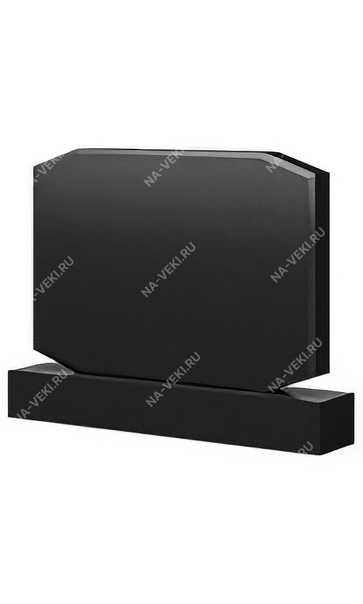 Памятник НВ-313