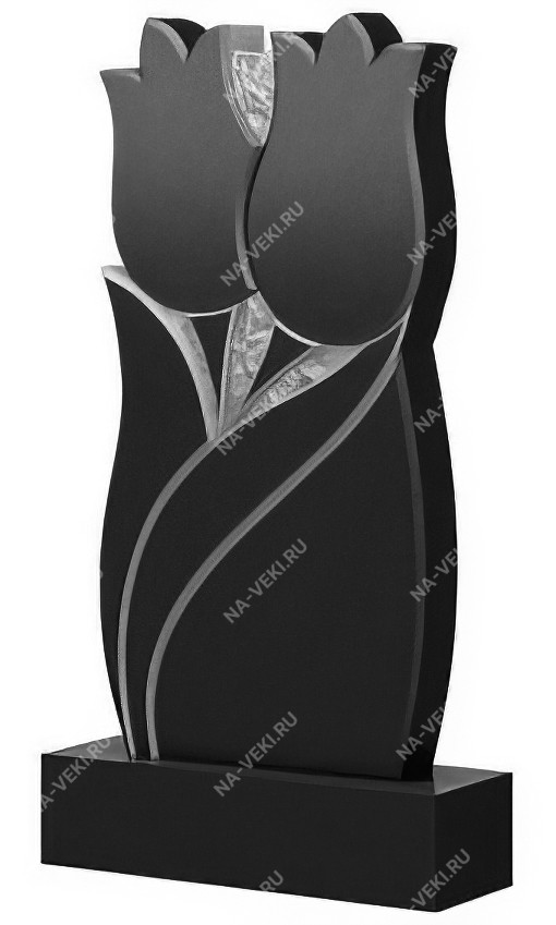 Памятник НВ-220